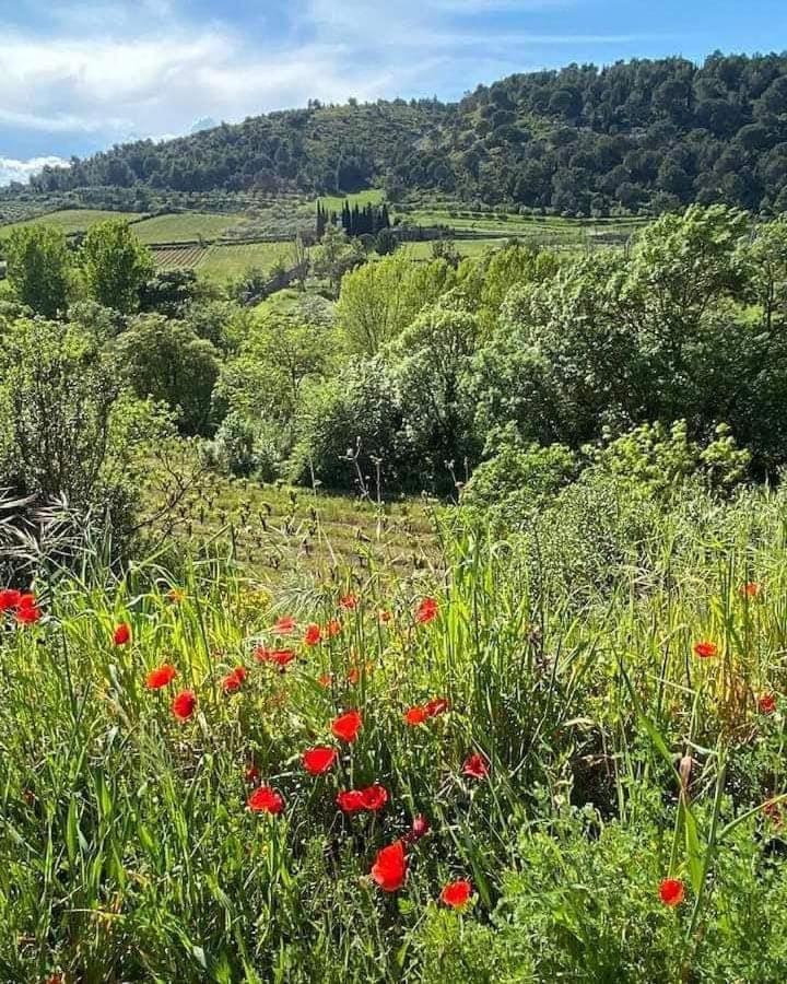 Chambre D'Hote Au Jardin Le Clos Des Vins D'Anges Saint-Pierre-des-Champs Exteriér fotografie