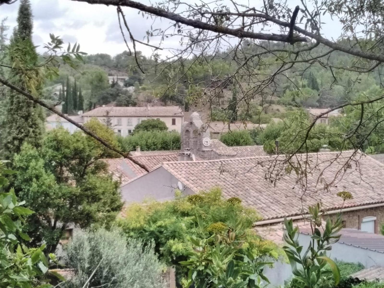 Chambre D'Hote Au Jardin Le Clos Des Vins D'Anges Saint-Pierre-des-Champs Pokoj fotografie